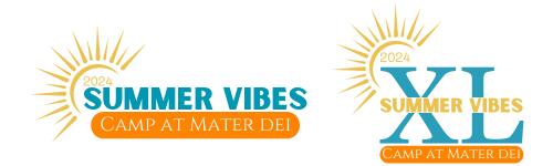 summer vibes camp logo